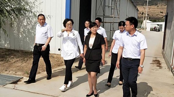 谢昕董事长一行莅临定西业务部调研指导工作