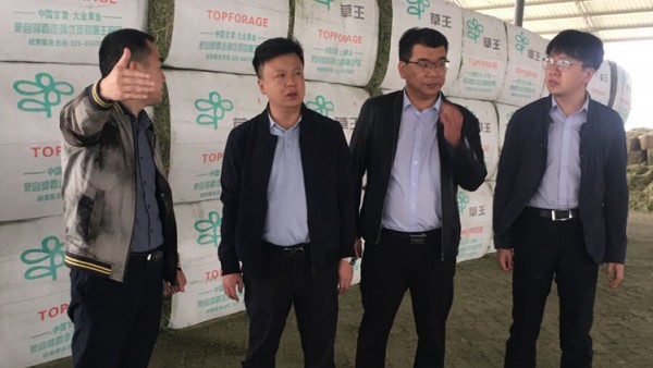 小额贷款公司副总经理王海源一行调研酒泉业务部