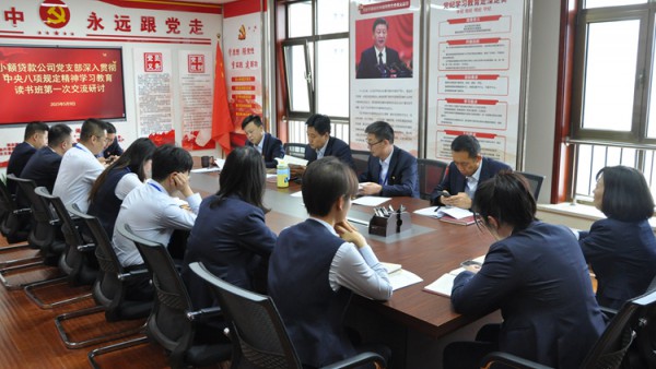 小额贷款公司党支部深入贯彻中央八项规定精神学习教育读书班交流研讨